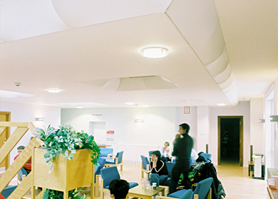 <h3>Bio-Pruf ceiling
</h3>